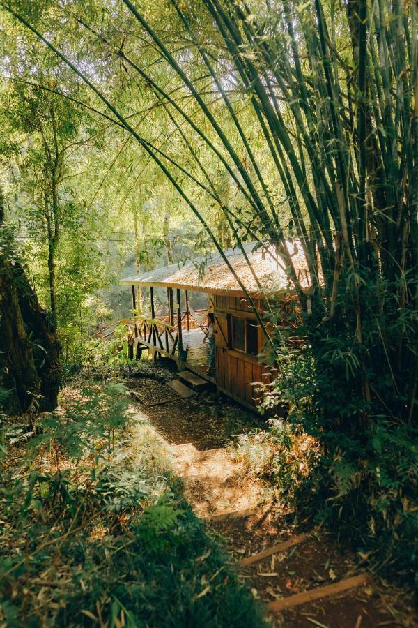 Margay - Reserva Natural Y Lodge De Selva El Soberbio Εξωτερικό φωτογραφία