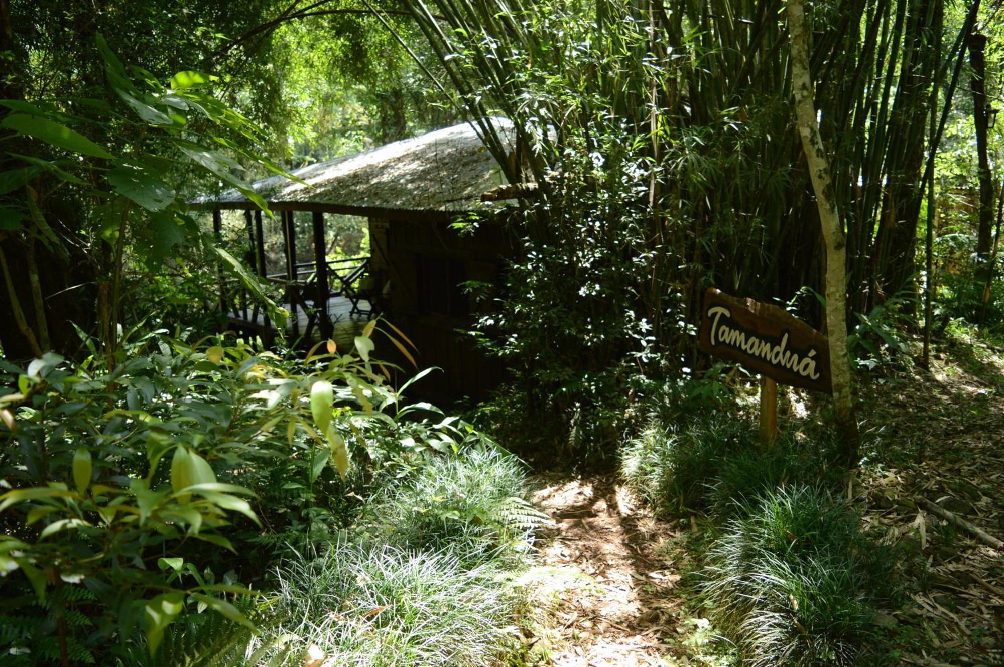 Margay - Reserva Natural Y Lodge De Selva El Soberbio Εξωτερικό φωτογραφία