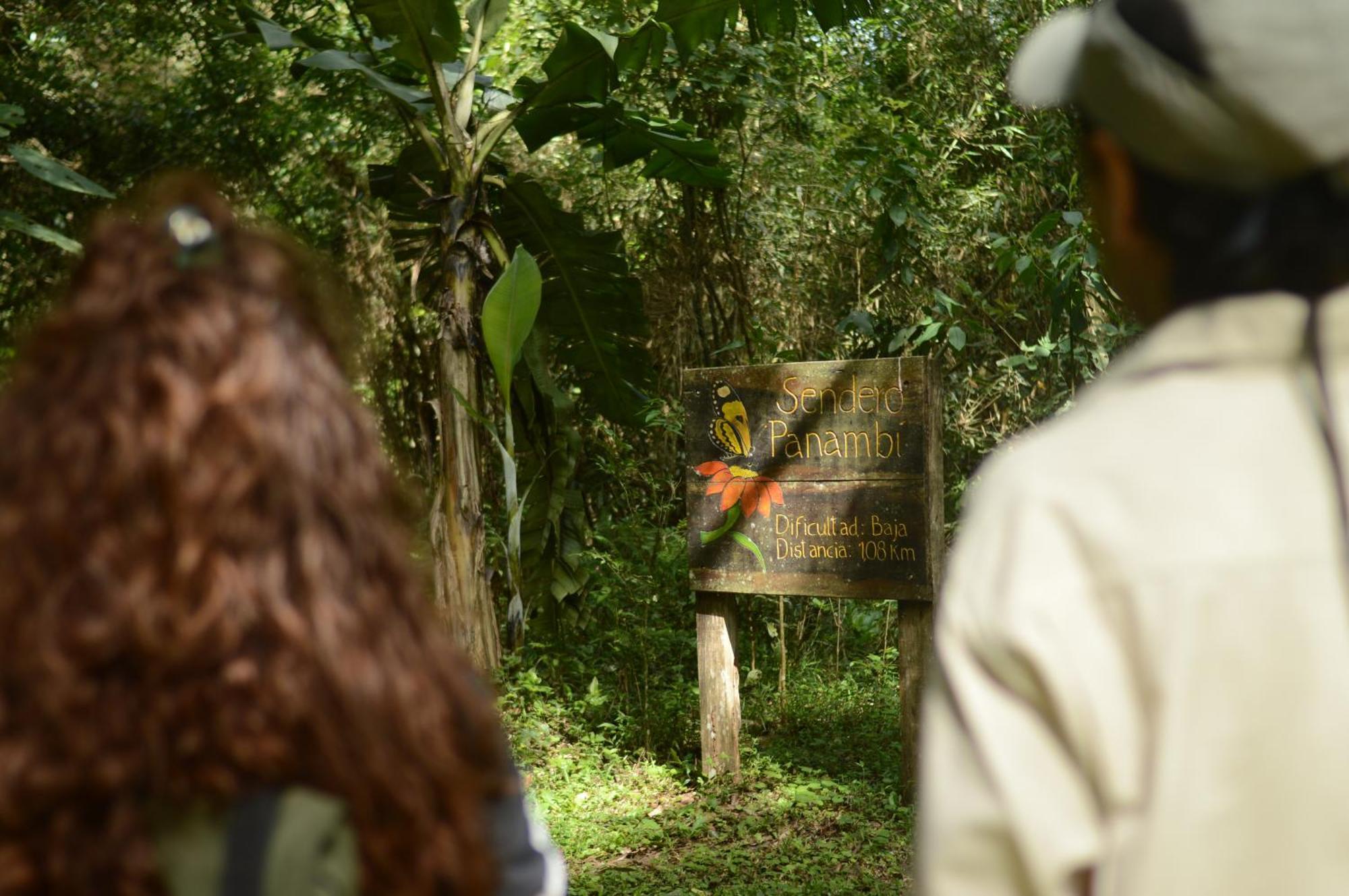 Margay - Reserva Natural Y Lodge De Selva El Soberbio Εξωτερικό φωτογραφία