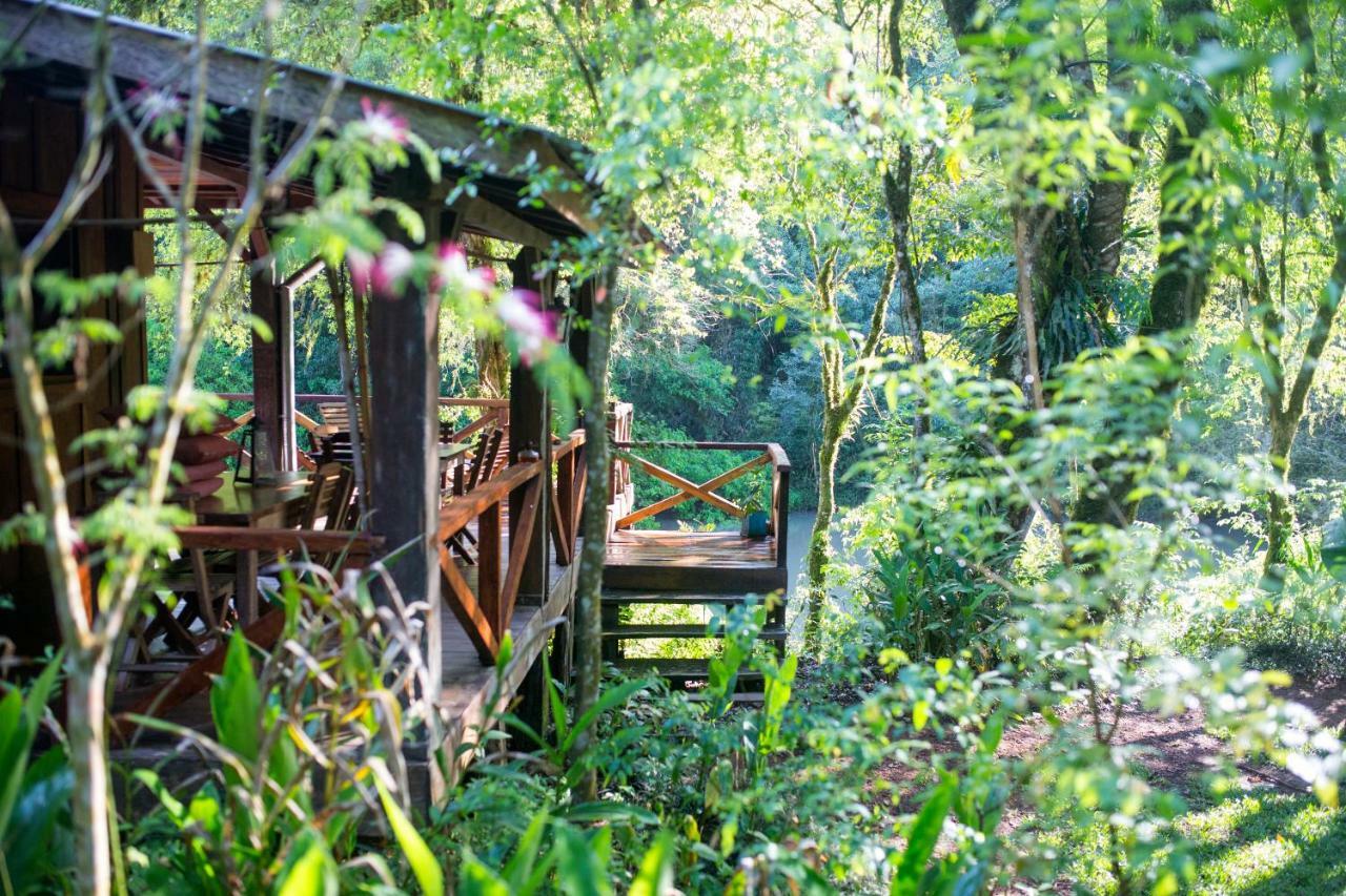 Margay - Reserva Natural Y Lodge De Selva El Soberbio Εξωτερικό φωτογραφία